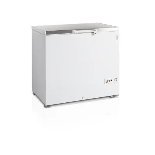 TEFCOLD FR305S sügavkülmik